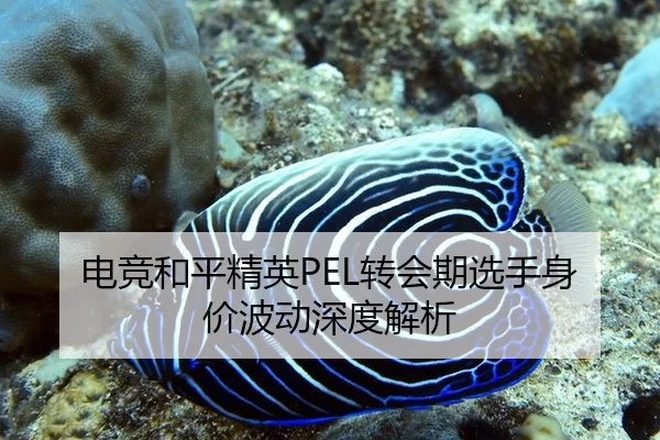 电竞和平精英PEL转会期选手身价波动深度解析