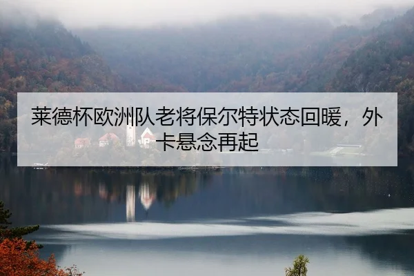 莱德杯欧洲队老将保尔特状态回暖，外卡悬念再起