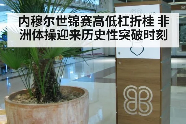 内穆尔世锦赛高低杠折桂 非洲体操迎来历史性突破时刻